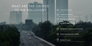 What Are the Causes of Air Pollution (How to Reduce Air Pollution)
