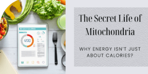 Secret Life of Mitochondria: health tips drsonair.com