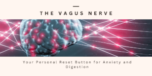 The Vagus Nerve: Your Personal Reset Button for Anxiety and Digestion drsonair.com
