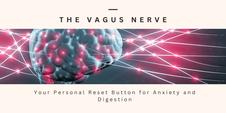The Vagus Nerve: Your Personal Reset Button for Anxiety and Digestion drsonair.com